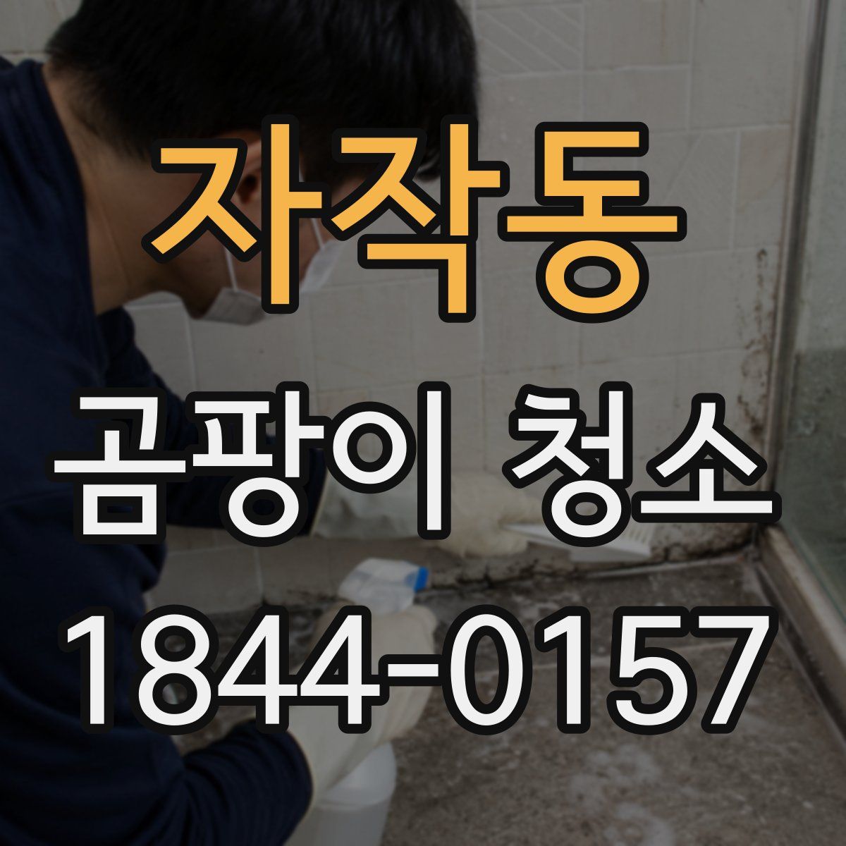 자작동 곰팡이 청소