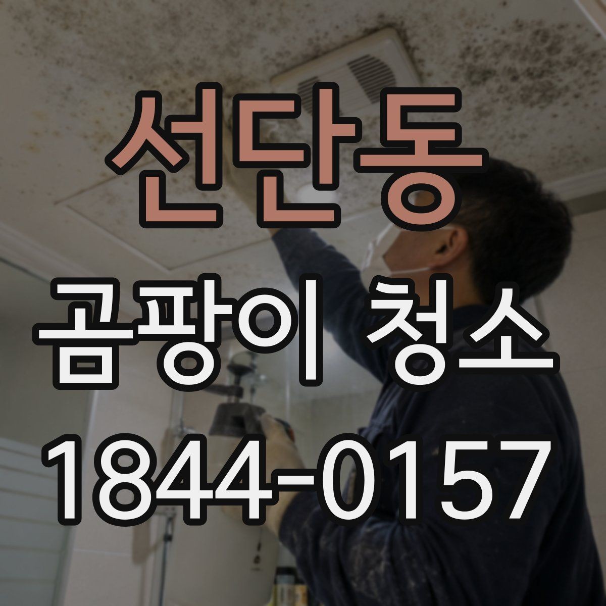선단동 곰팡이 청소 환기 부족한 공간에서 먼저 살필 점