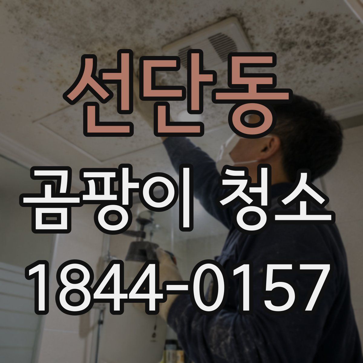 선단동 곰팡이 청소