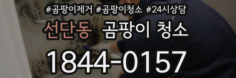 선단동 곰팡이 청소