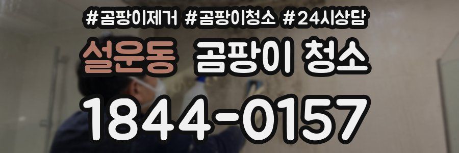 설운동 곰팡이 청소