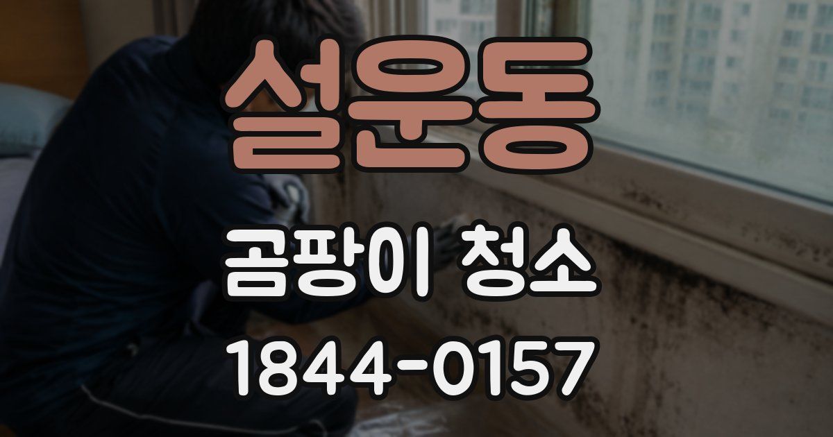 설운동 곰팡이 청소