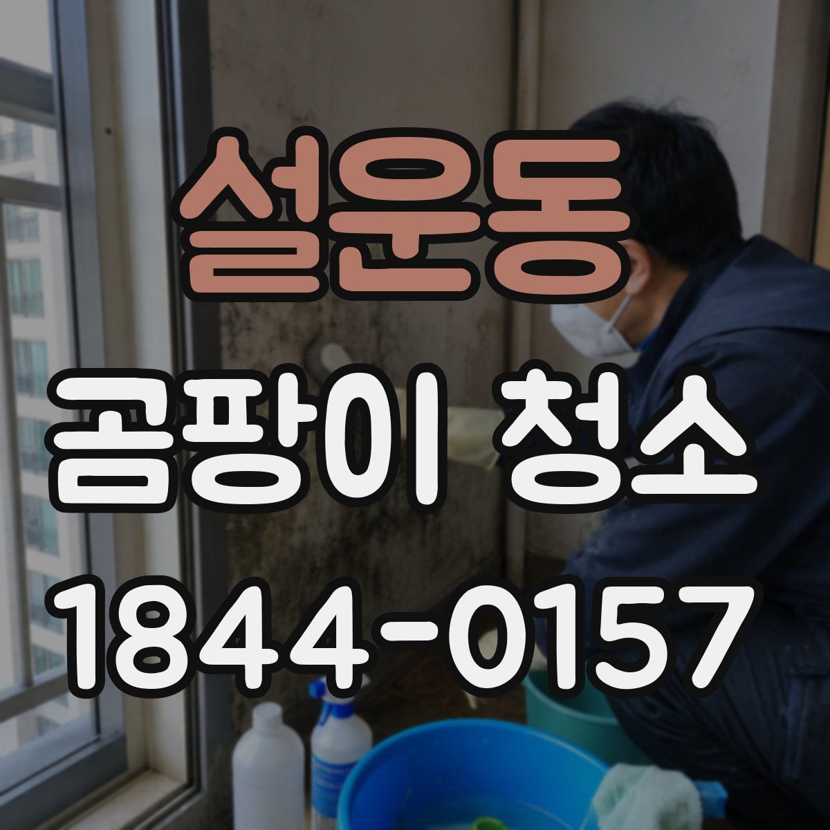 설운동 곰팡이 청소