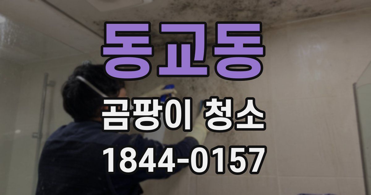 동교동 곰팡이 청소