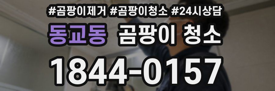 동교동 곰팡이 청소