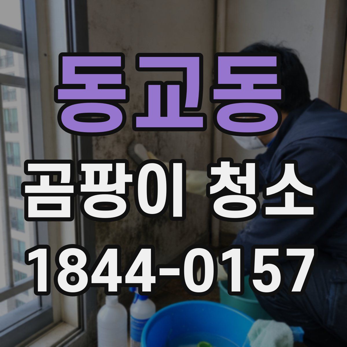 동교동 곰팡이 청소