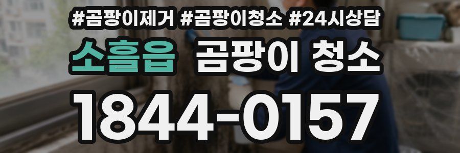 소흘읍 곰팡이 청소