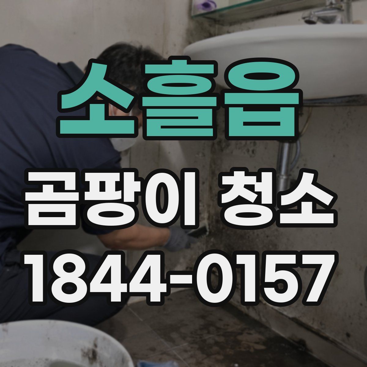 소흘읍 곰팡이 청소