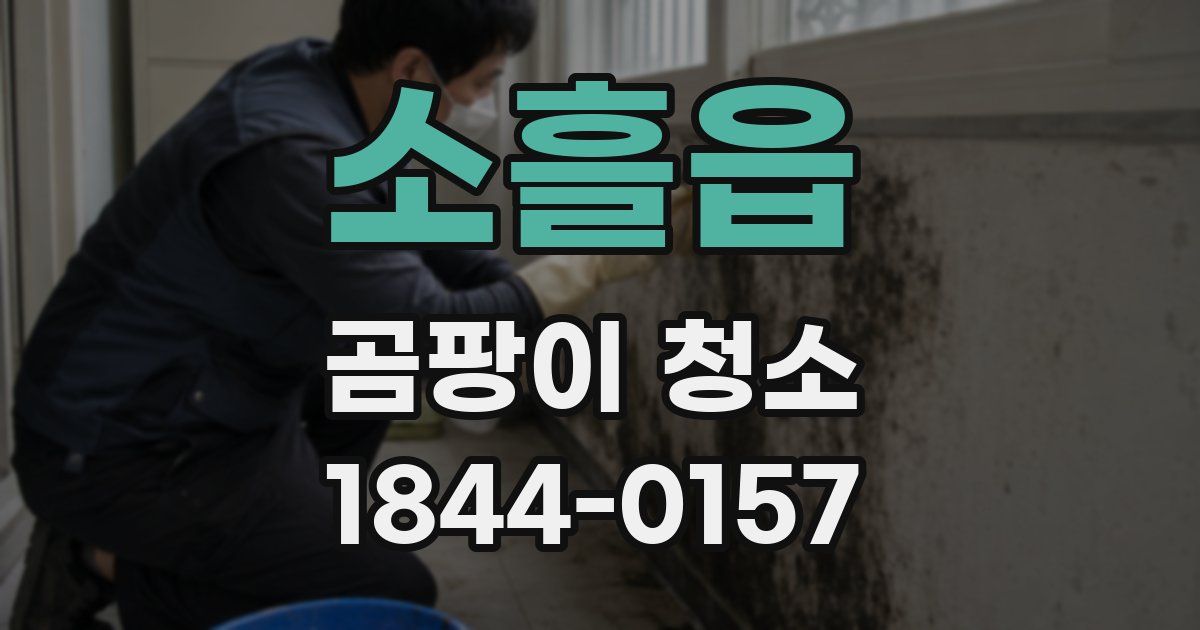소흘읍 곰팡이 청소