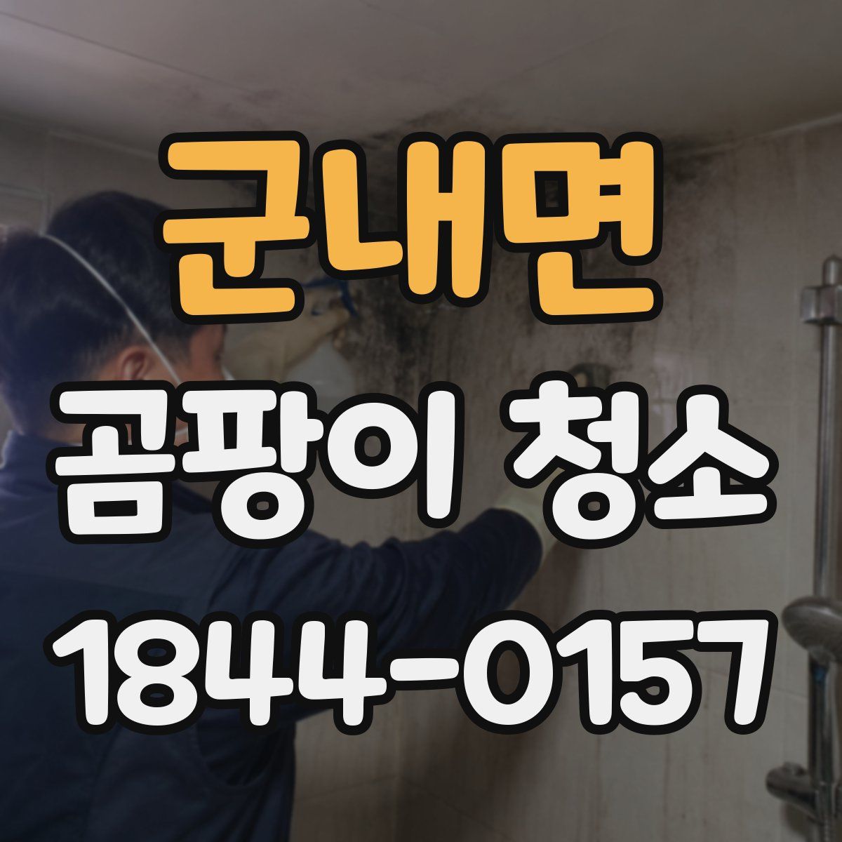 군내면 곰팡이 청소