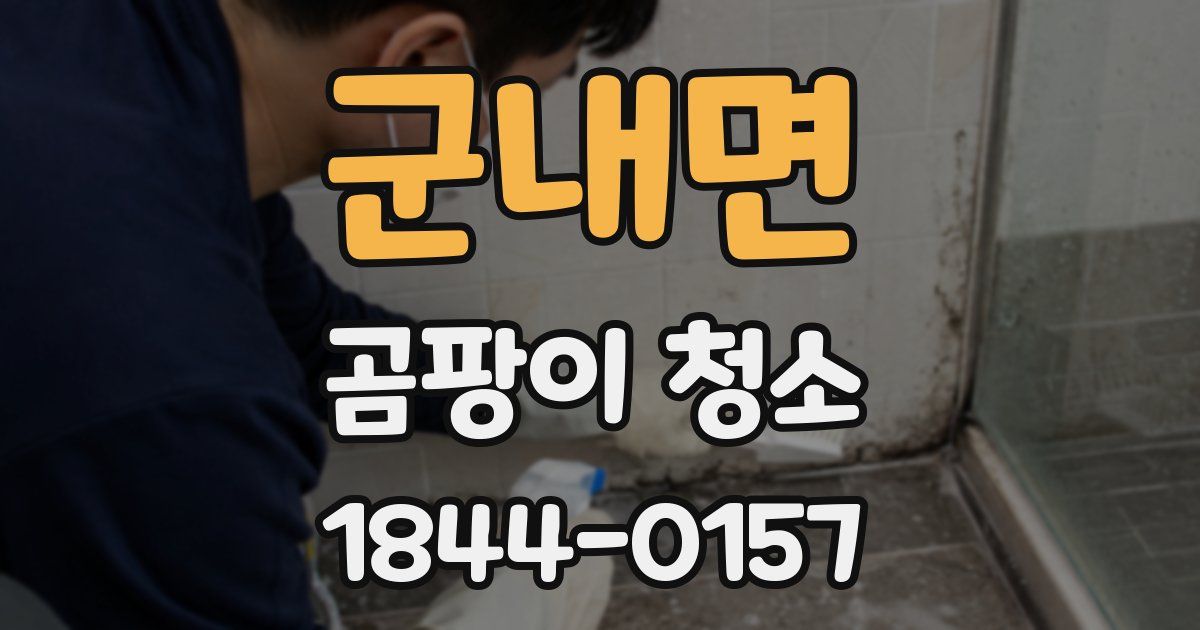 군내면 곰팡이 청소