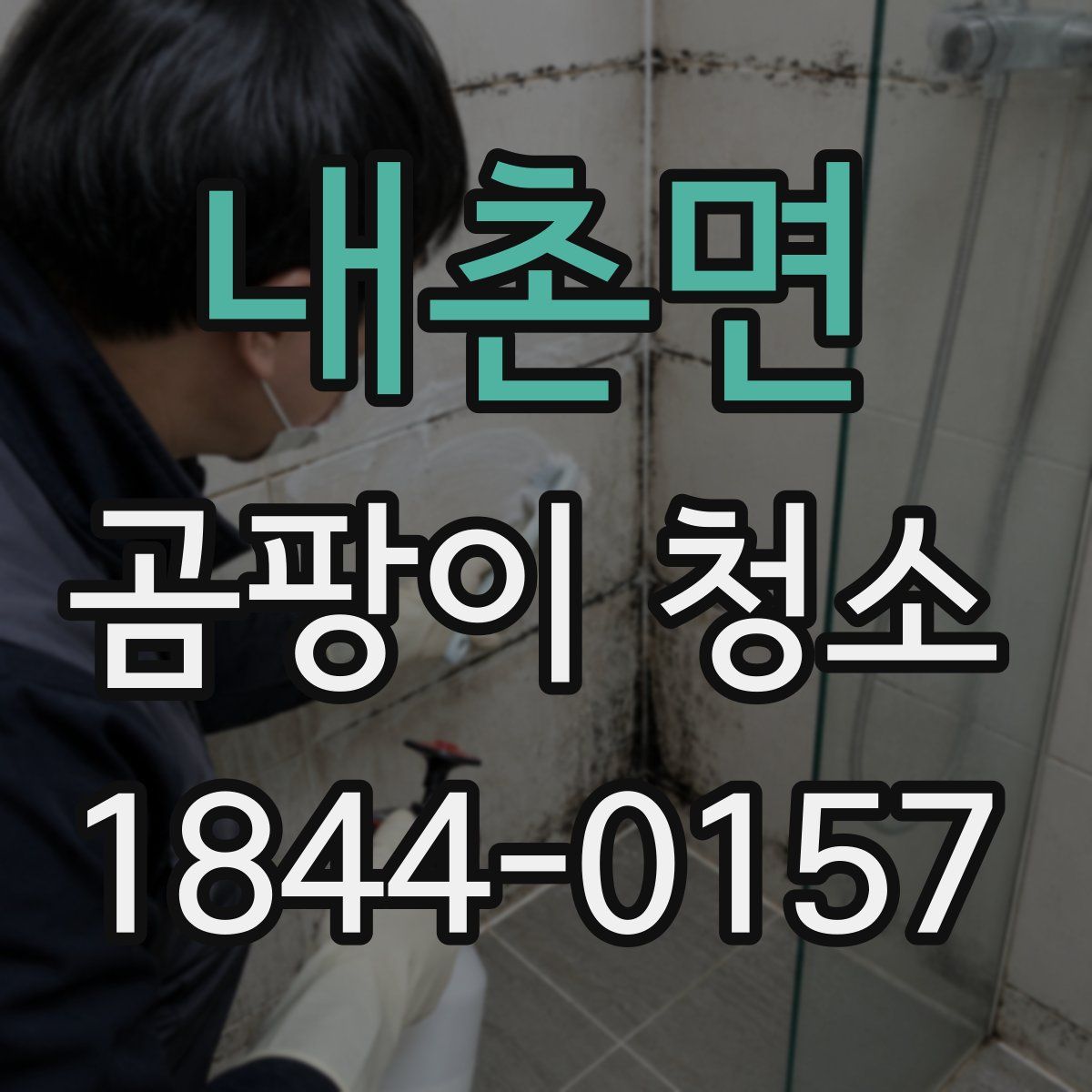 내촌면 곰팡이 청소