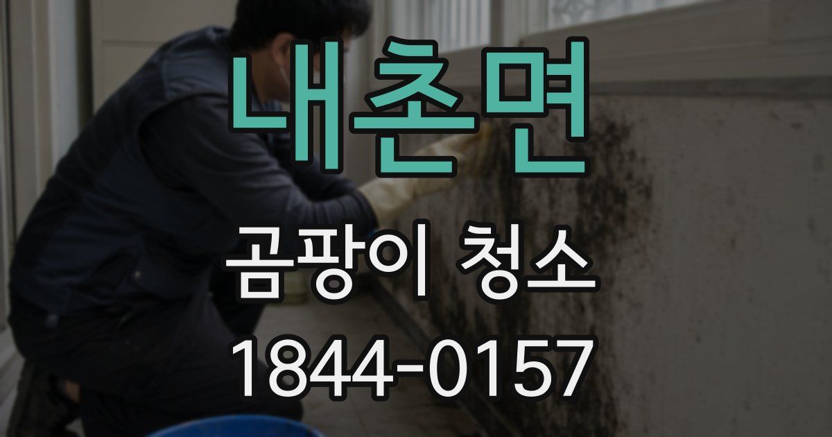 내촌면 곰팡이 청소