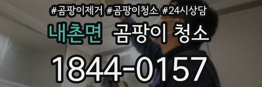 내촌면 곰팡이 청소