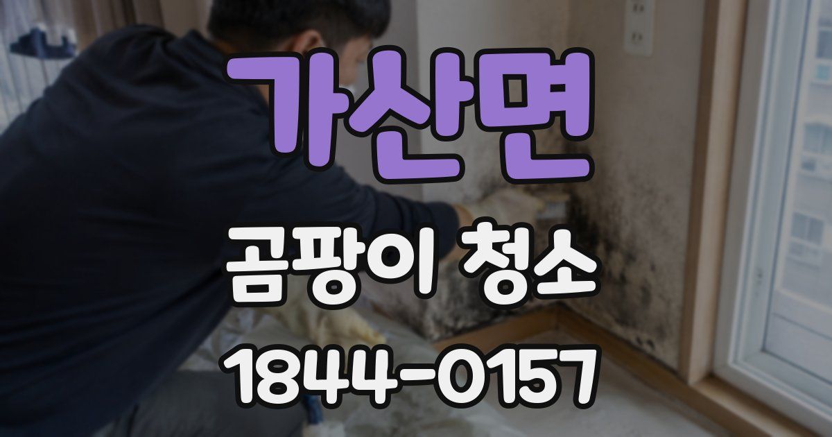 가산면 곰팡이 청소