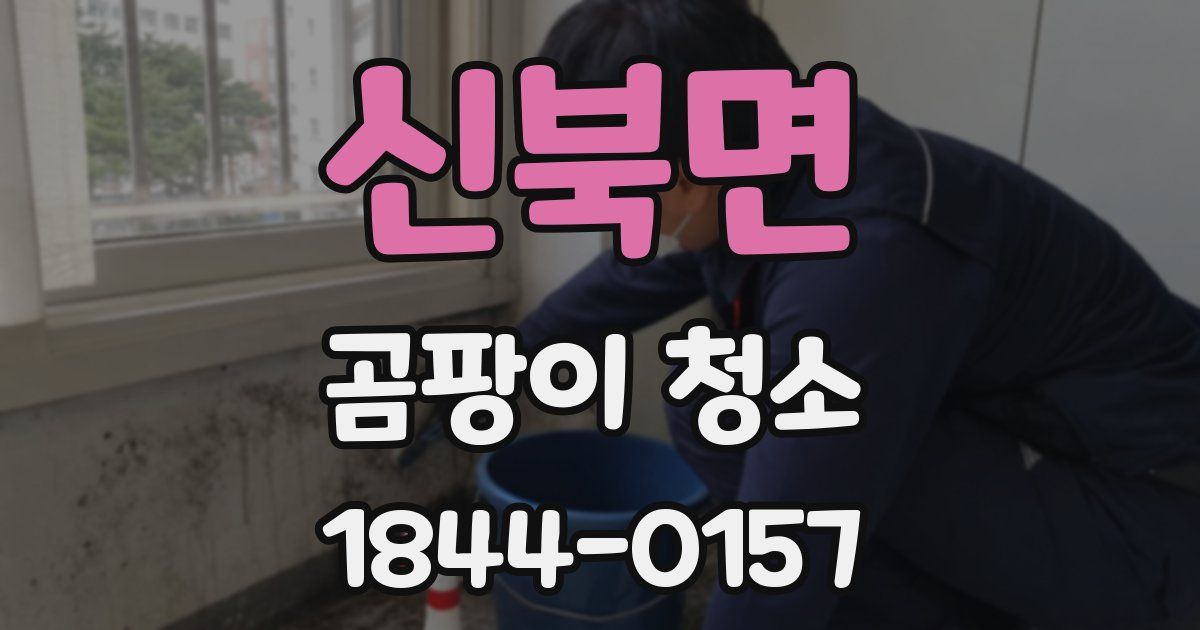 신북면 곰팡이 청소