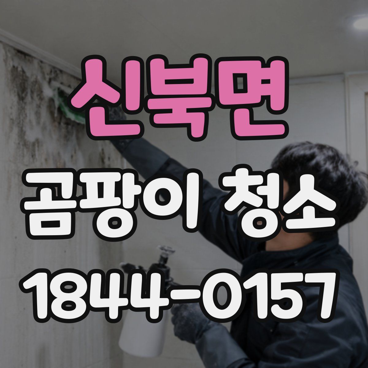 신북면 곰팡이 청소