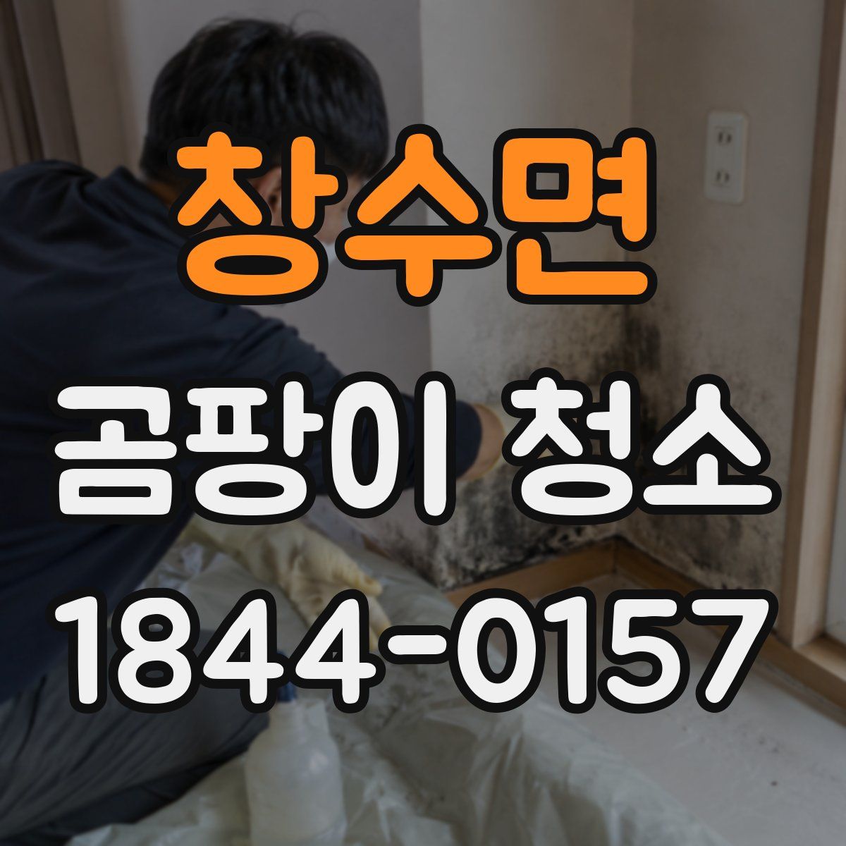 창수면 곰팡이 청소