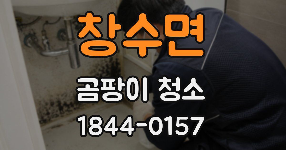 창수면 곰팡이 청소
