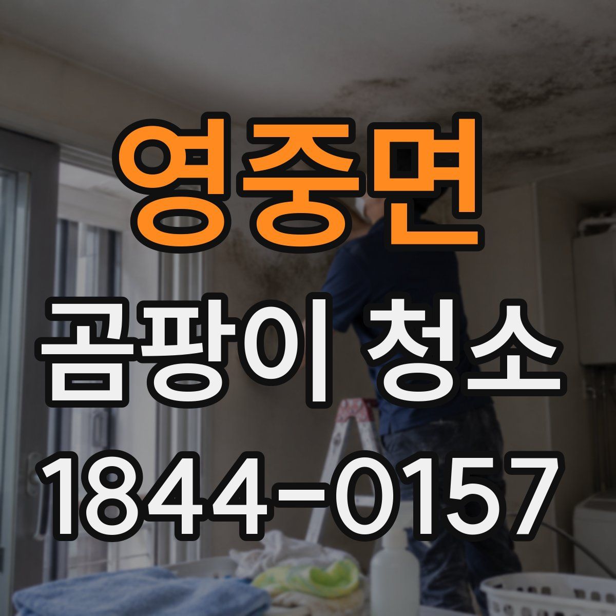 영중면 곰팡이 청소