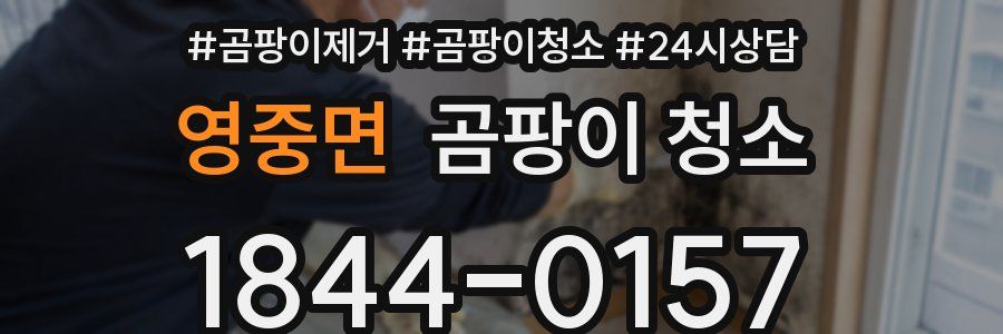 영중면 곰팡이 청소