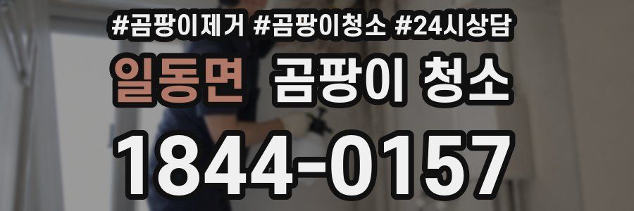 일동면 곰팡이 청소