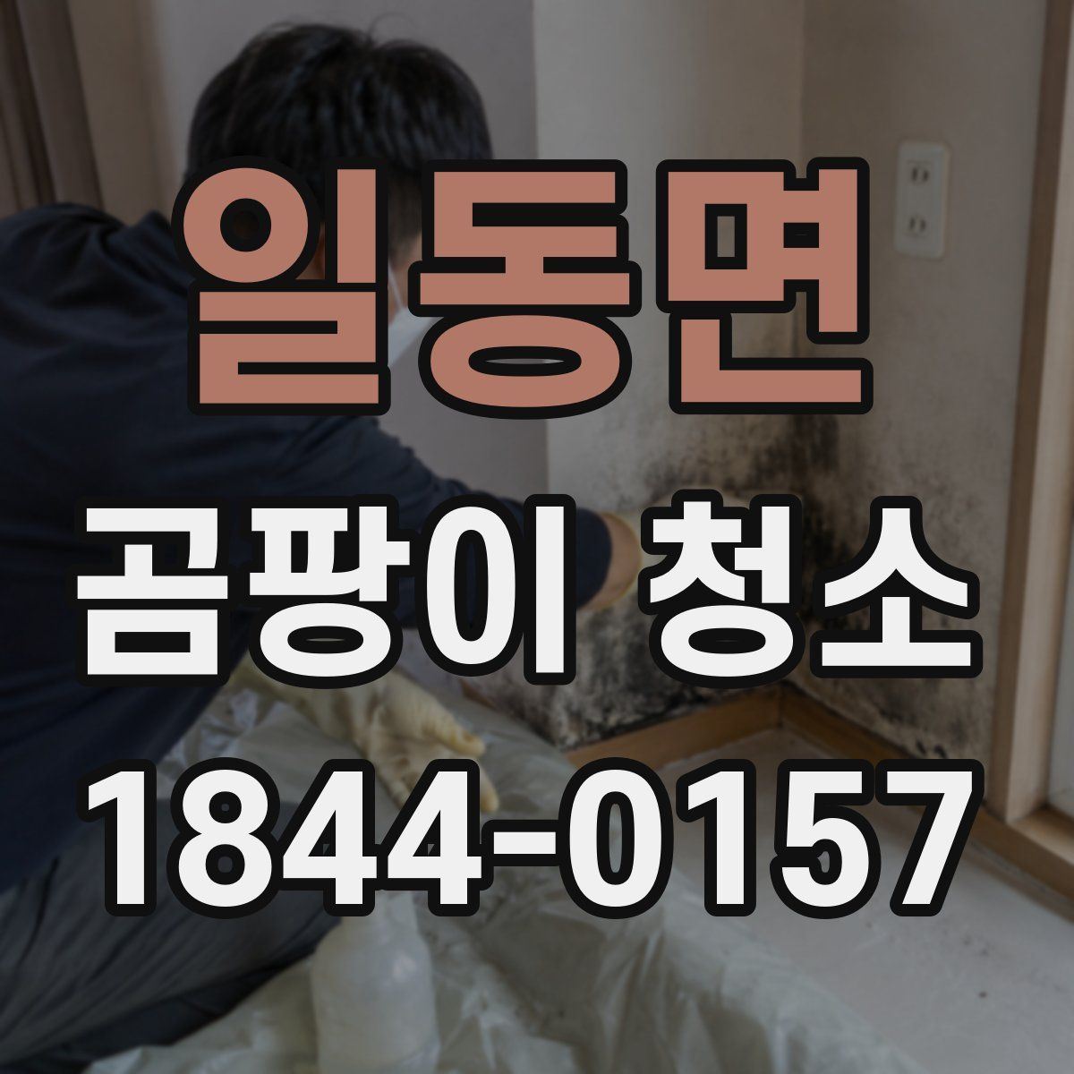 일동면 곰팡이 청소