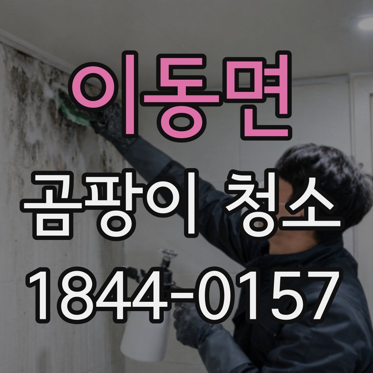 이동면 곰팡이 청소