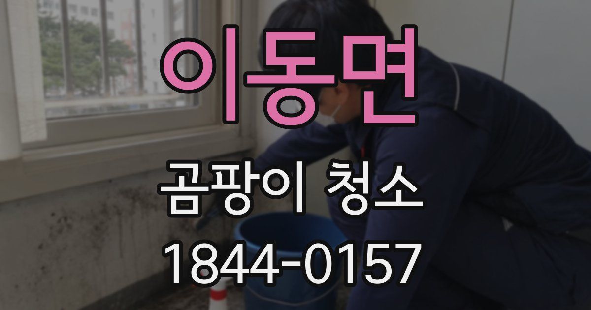 이동면 곰팡이 청소