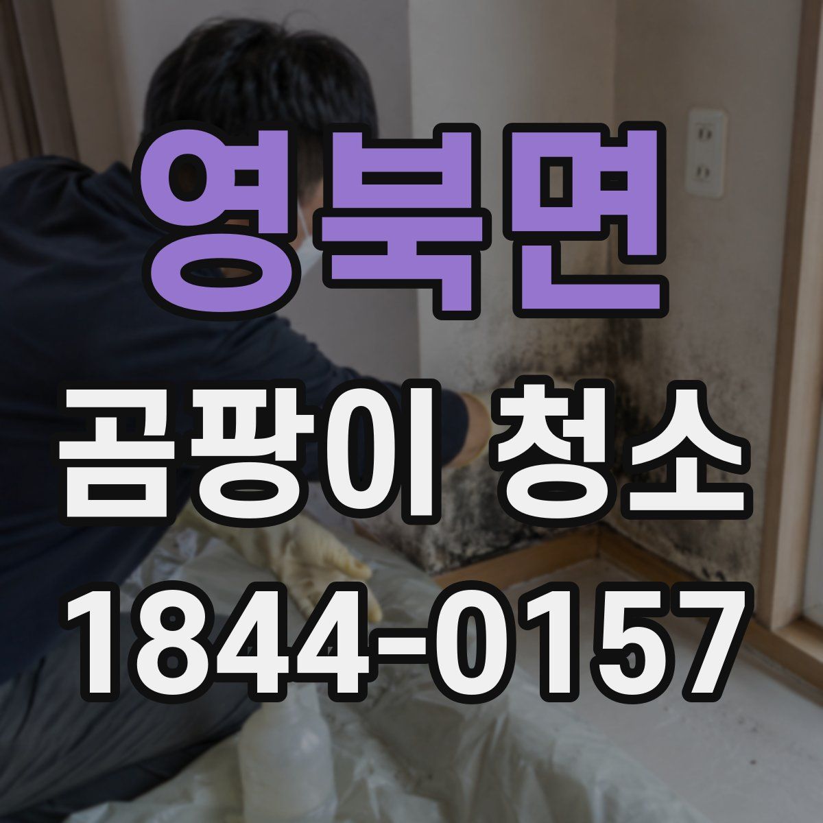 영북면 곰팡이 청소