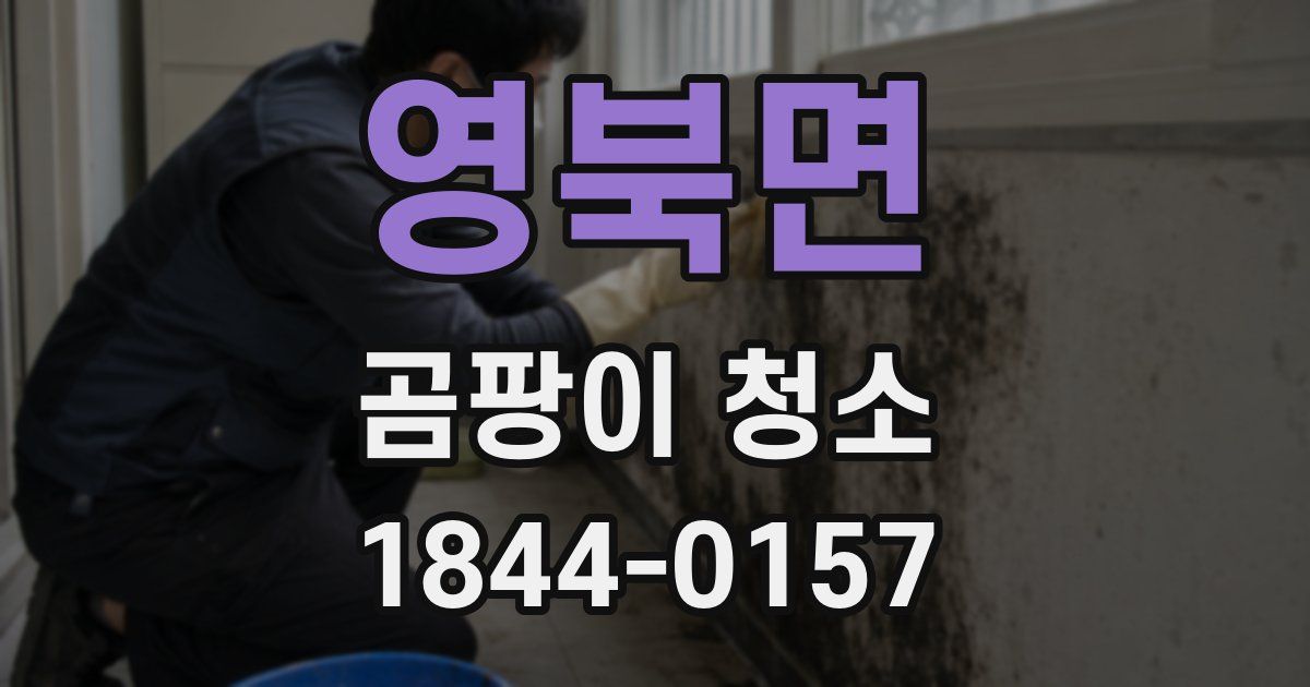 영북면 곰팡이 청소