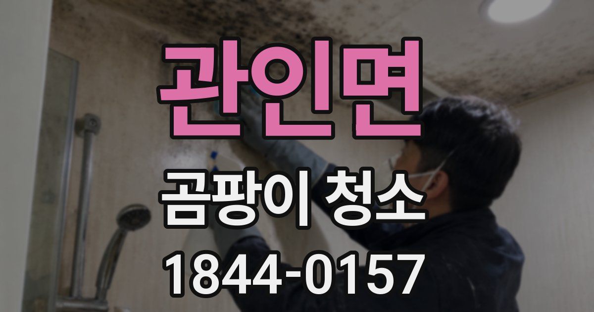 관인면 곰팡이 청소