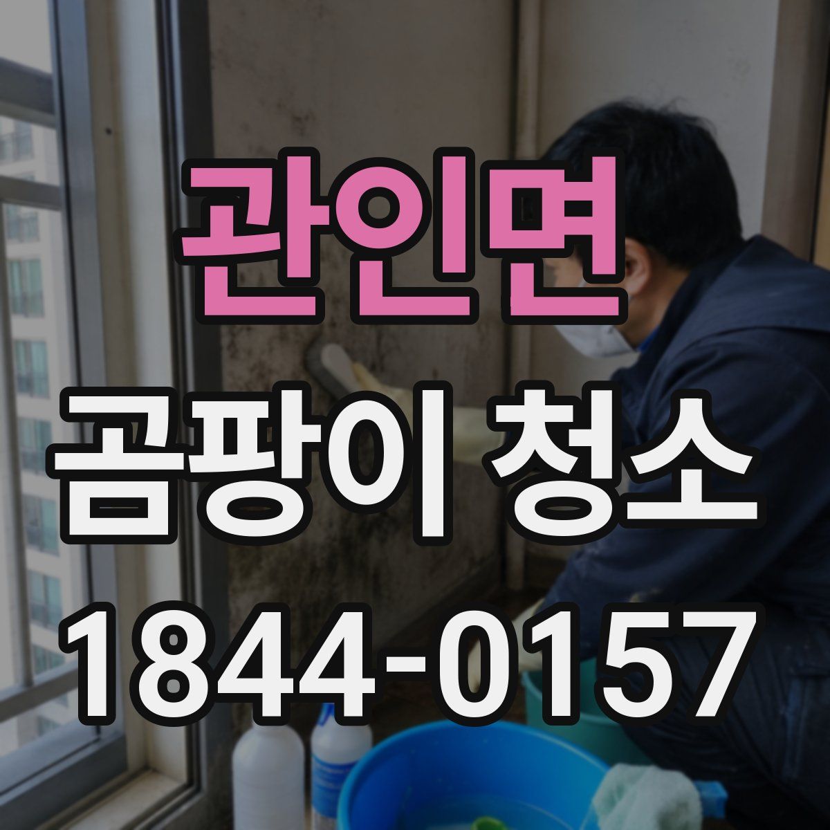 관인면 곰팡이 청소