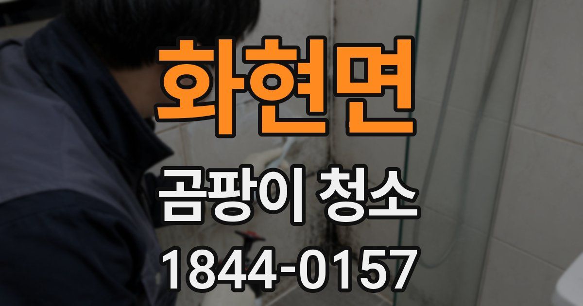 화현면 곰팡이 청소