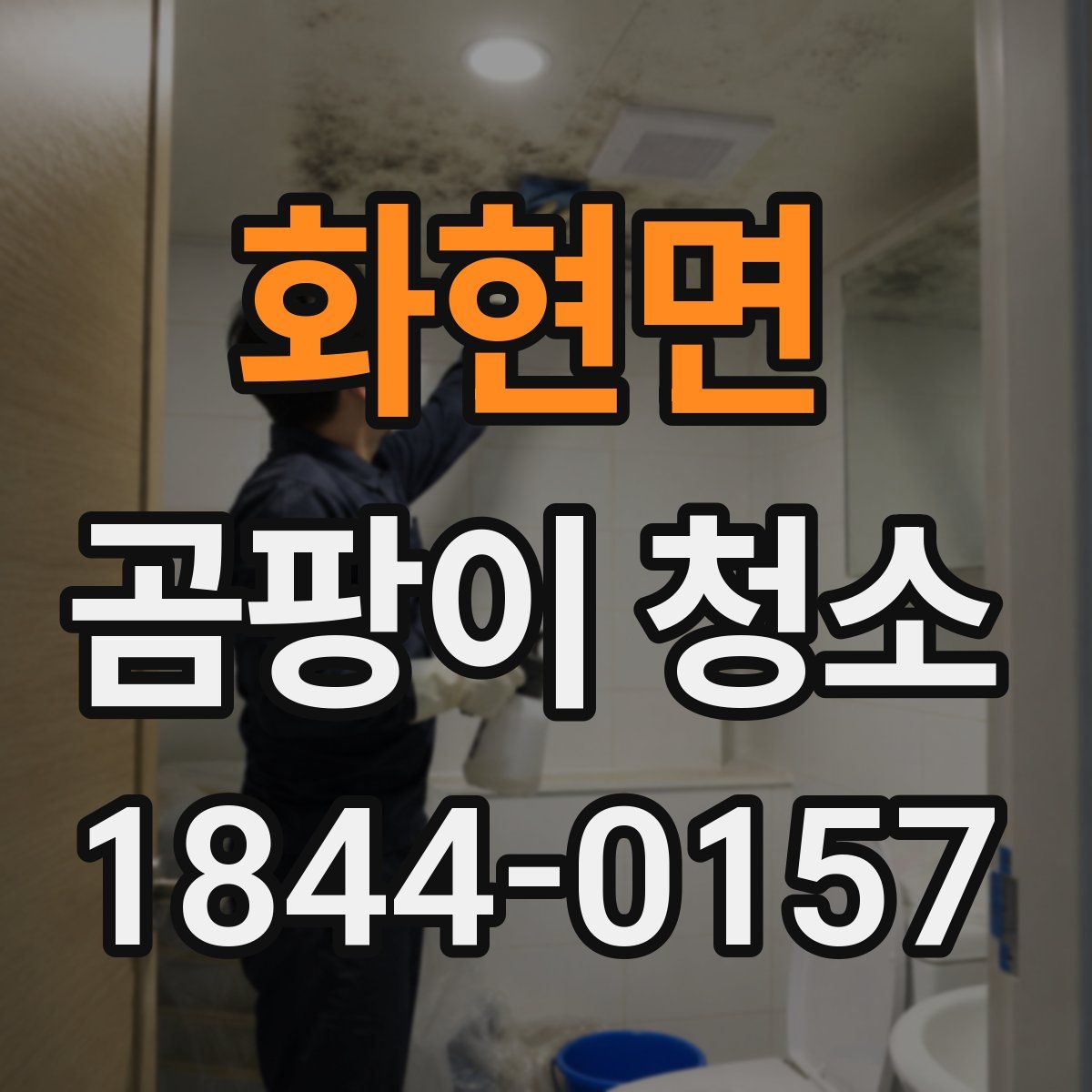 화현면 곰팡이 청소
