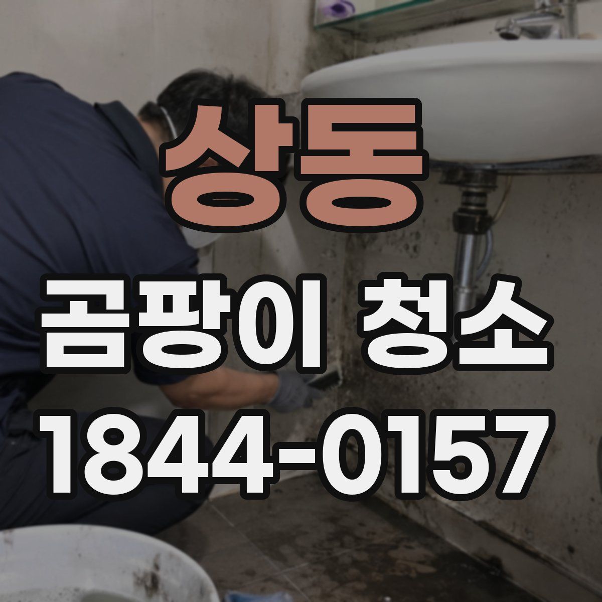 상동 곰팡이 청소