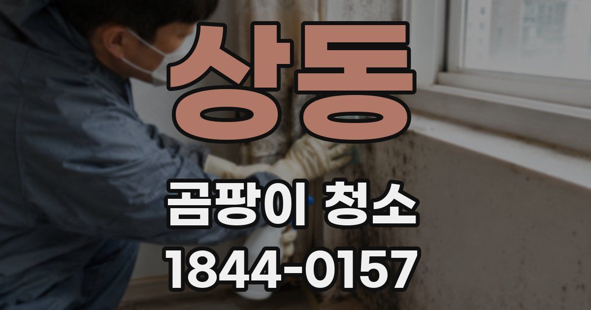 상동 곰팡이 청소