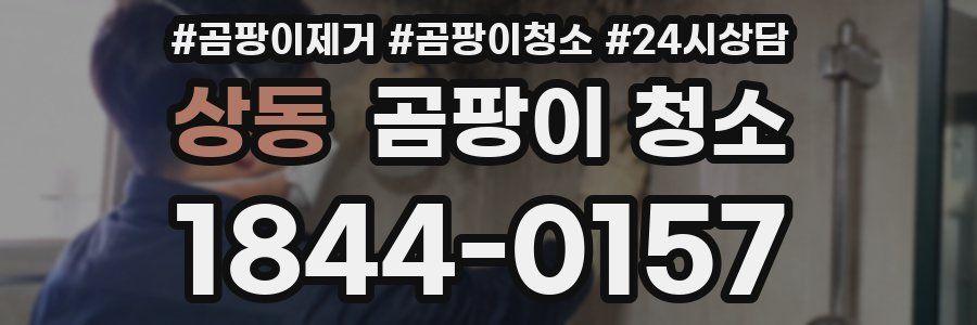 상동 곰팡이 청소