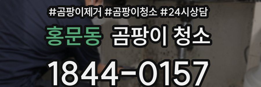 홍문동 곰팡이 청소