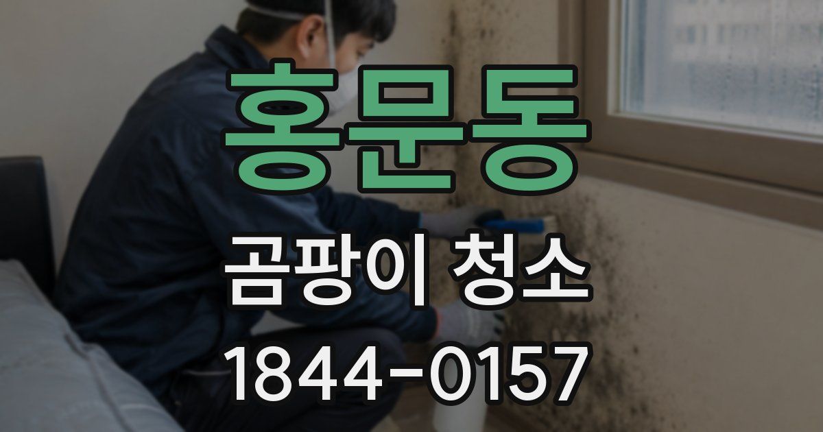 홍문동 곰팡이 청소