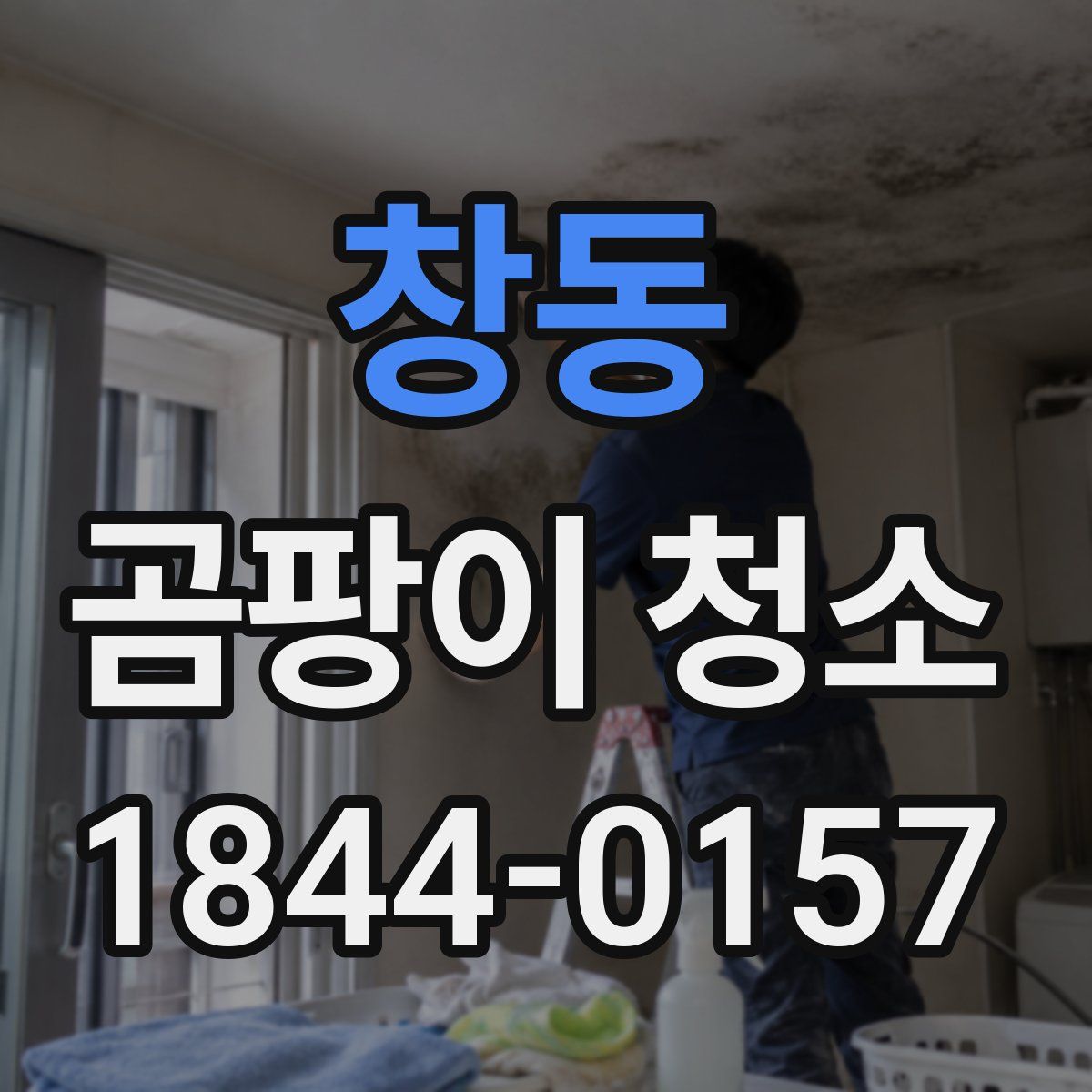 창동 곰팡이 청소