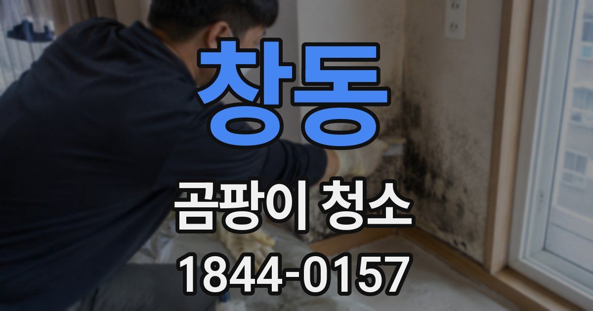 창동 곰팡이 청소