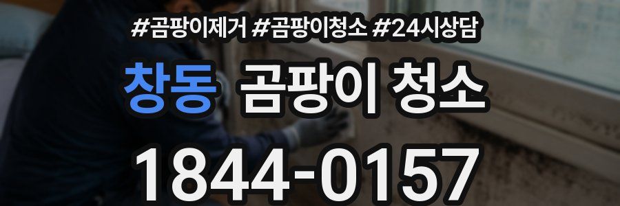 창동 곰팡이 청소