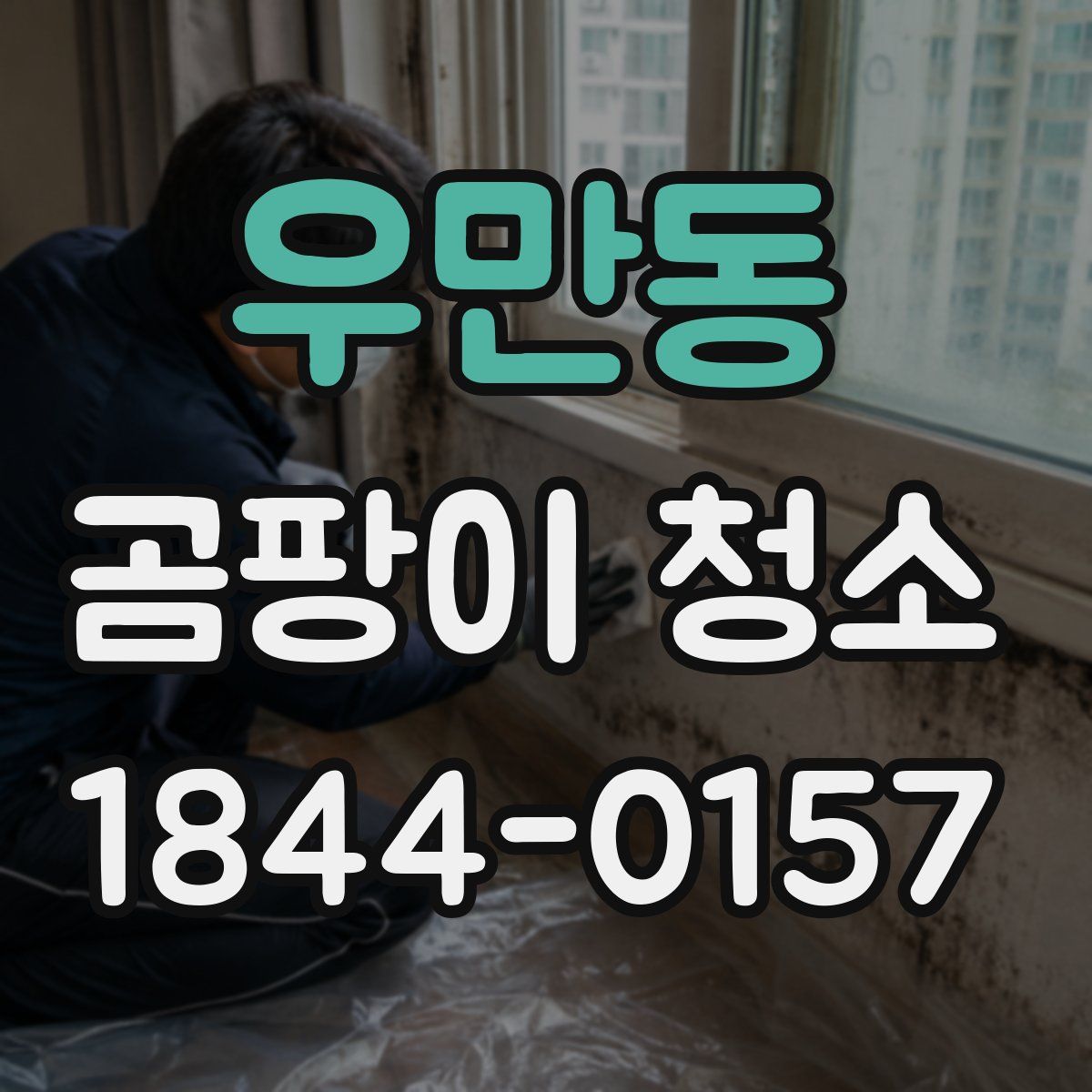 우만동 곰팡이 청소