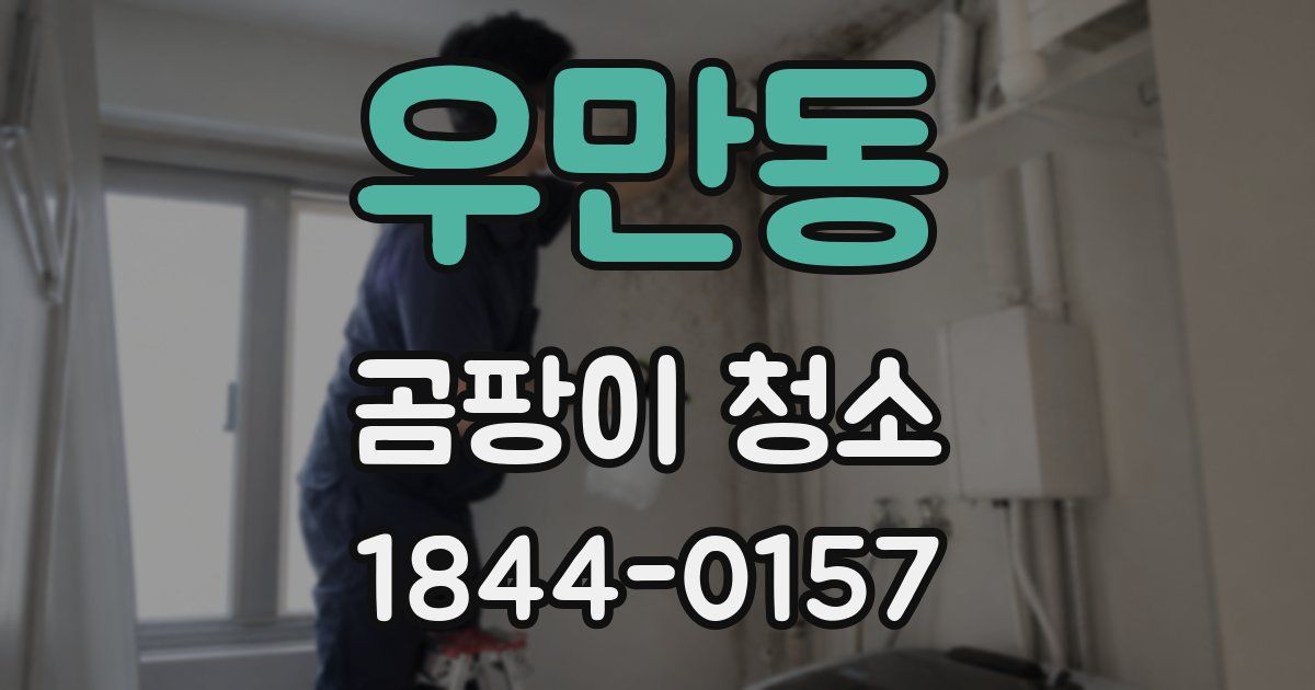 우만동 곰팡이 청소
