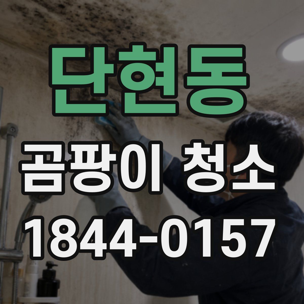 단현동 곰팡이 청소