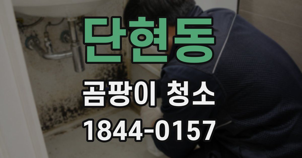 단현동 곰팡이 청소