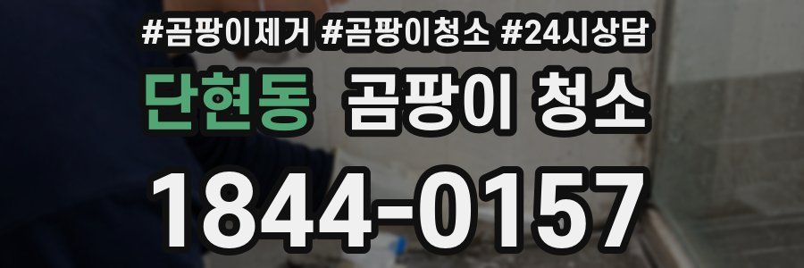 단현동 곰팡이 청소