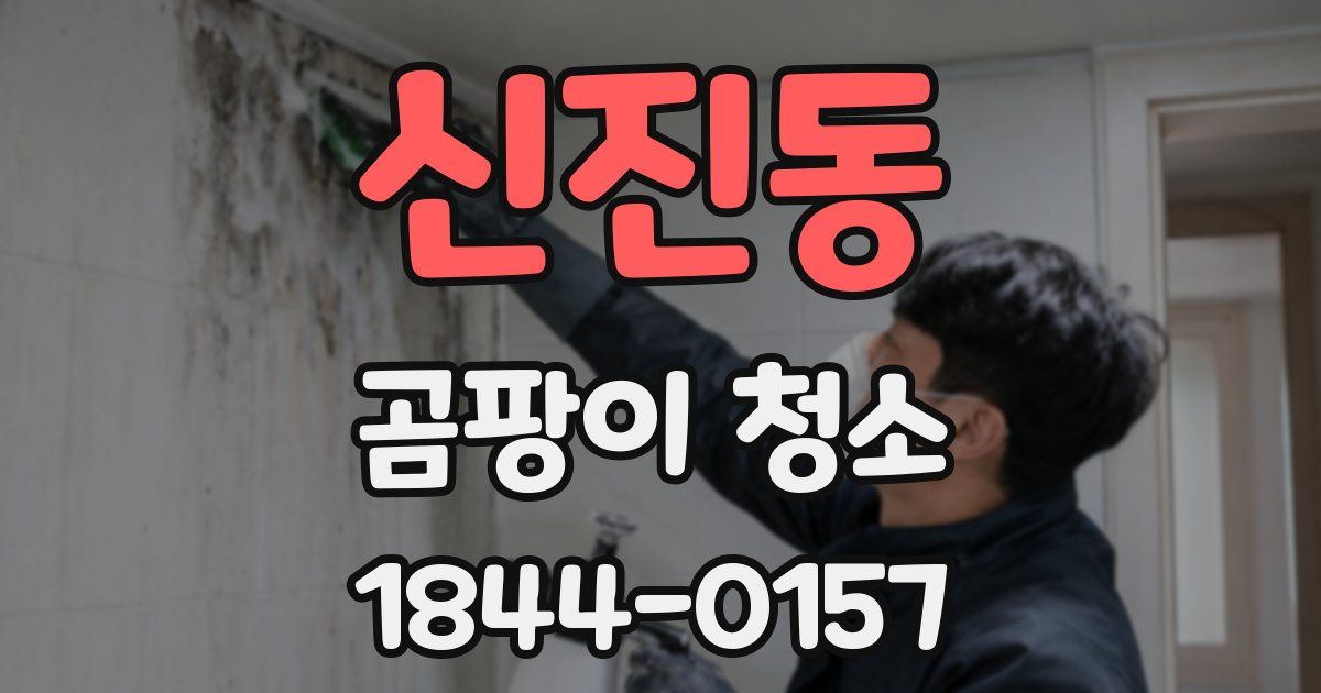신진동 곰팡이 청소