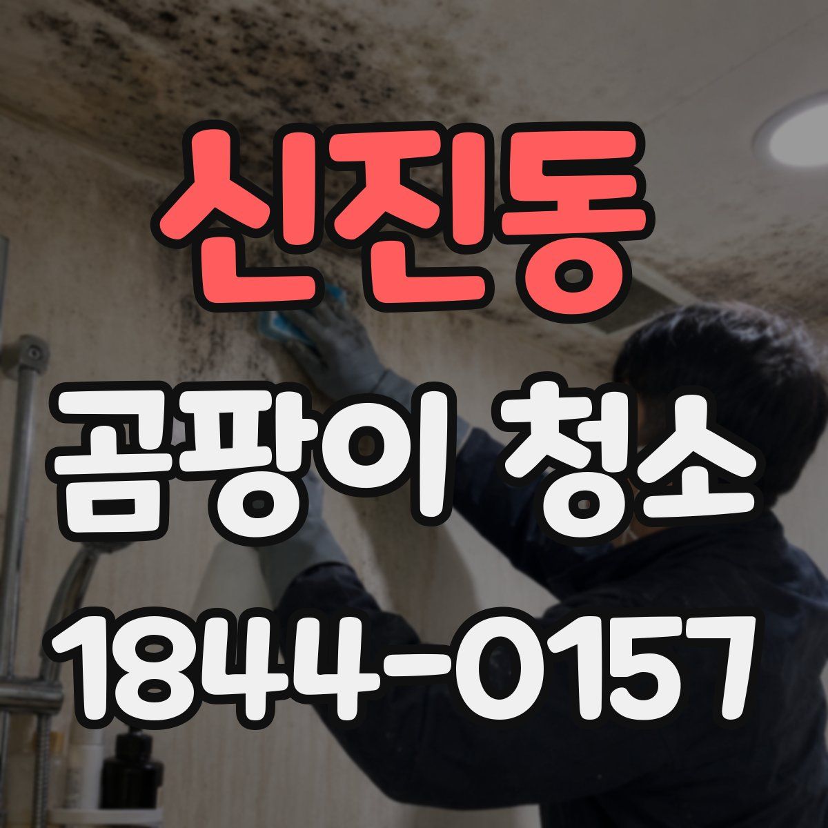 신진동 곰팡이 청소